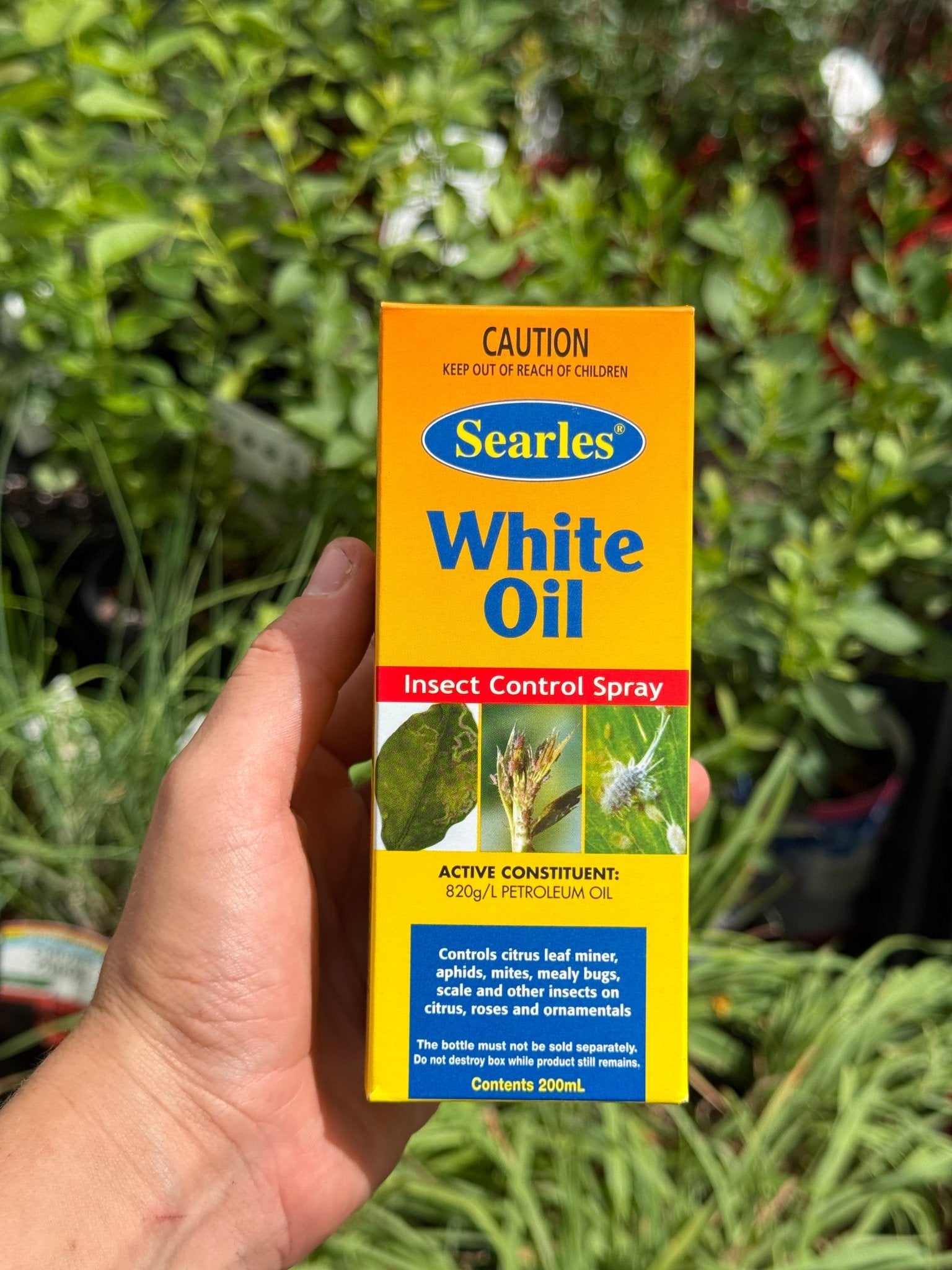 200ml Searles White Oil Insect Control Spray Concentrate - Ladybird Nursery