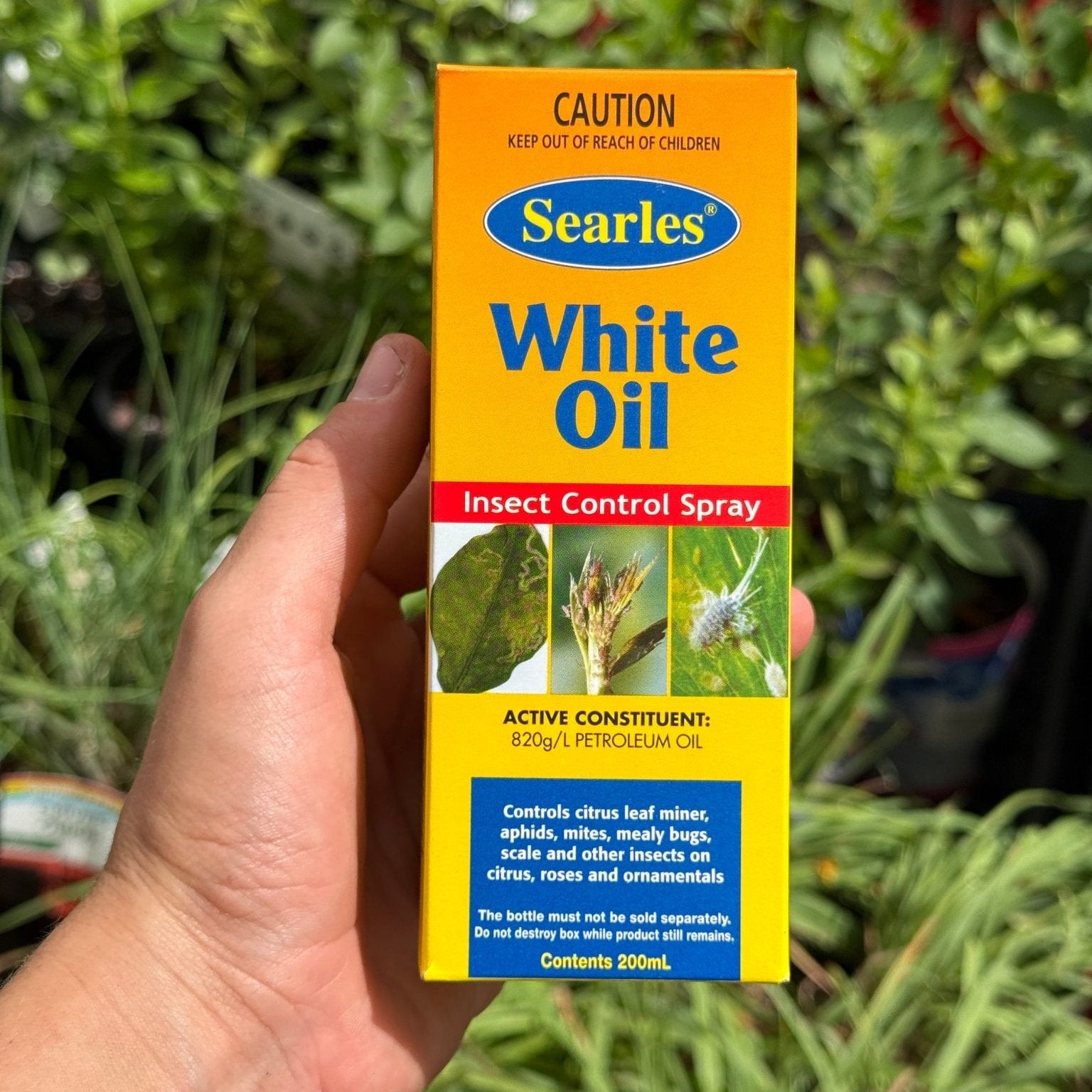 200ml Searles White Oil Insect Control Spray Concentrate - Ladybird Nursery
