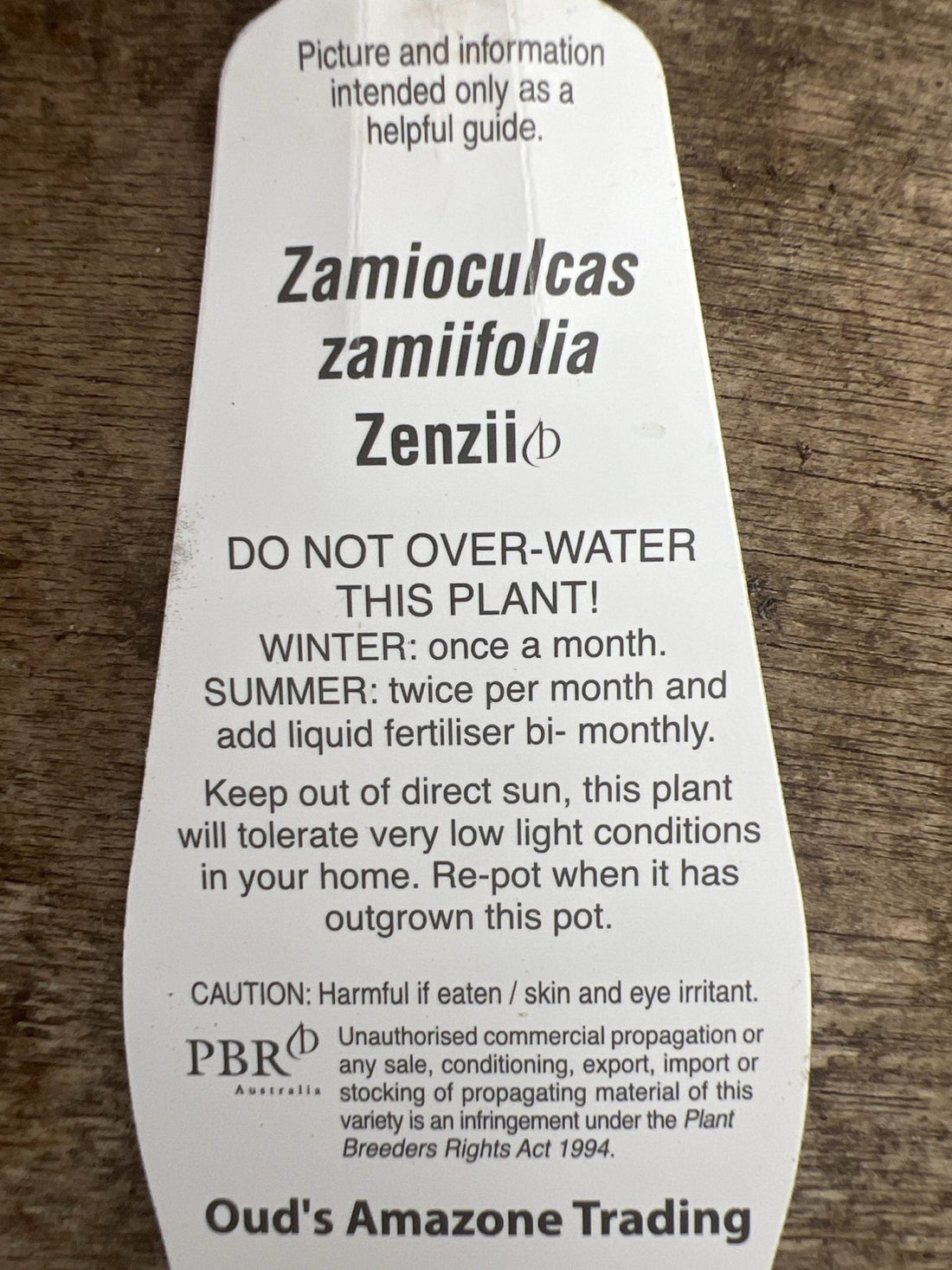 Zanzibar Zenzii - Ladybird Nursery