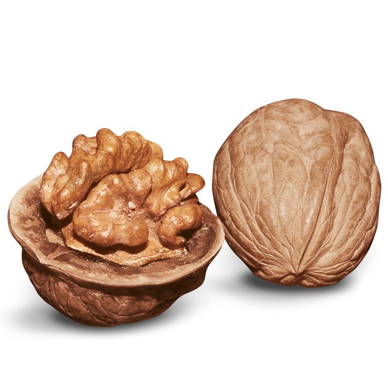 Walnut English