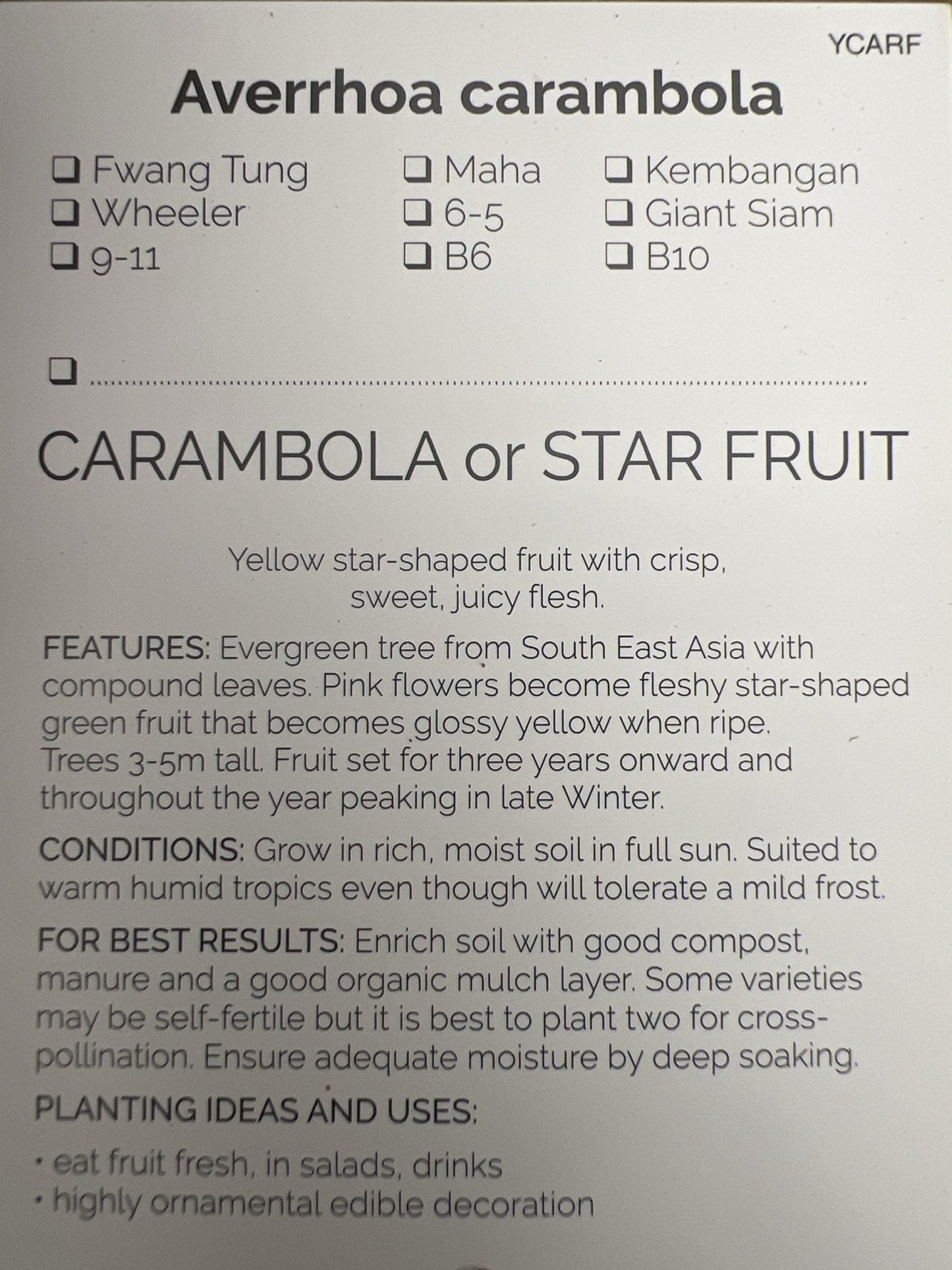 Carambola Maha (Star Fruit) Tree - Grafted - Ladybird Nursery