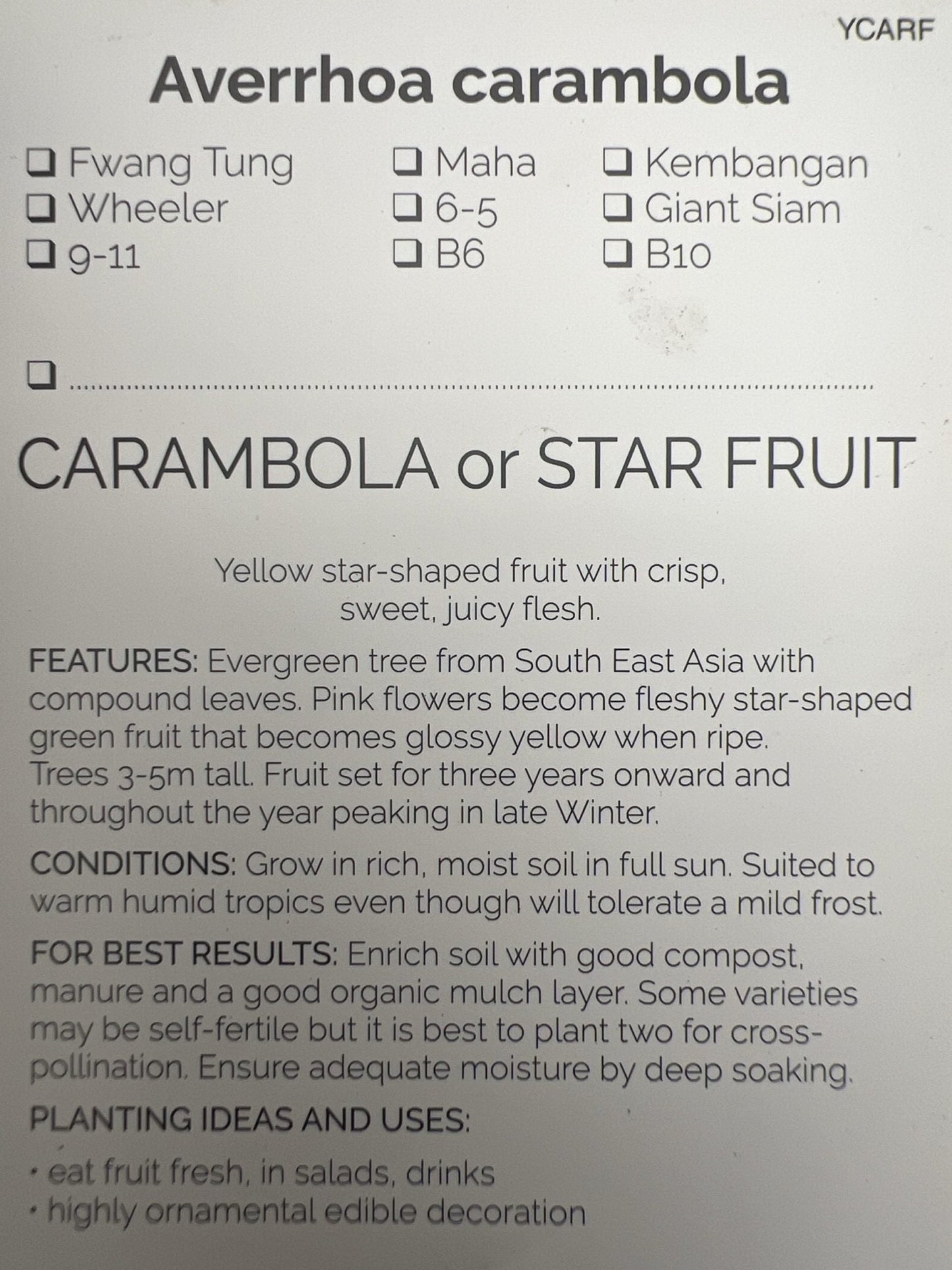 Carambola Honey Sweet (Star Fruit) Tree - Grafted - Ladybird Nursery