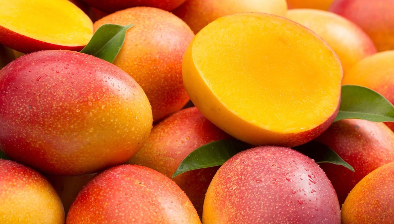 Kent Mango - Ladybird Nursery