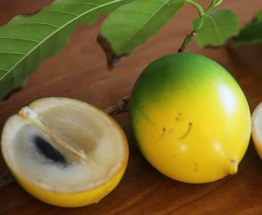 Abiu (Caramel fruit)