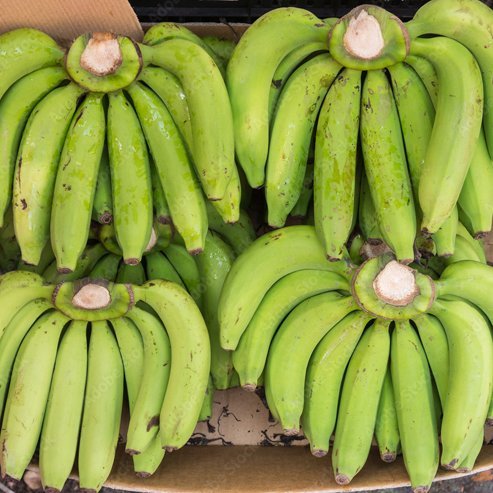 Banana Ducasse Tube Stock QLD ONLY