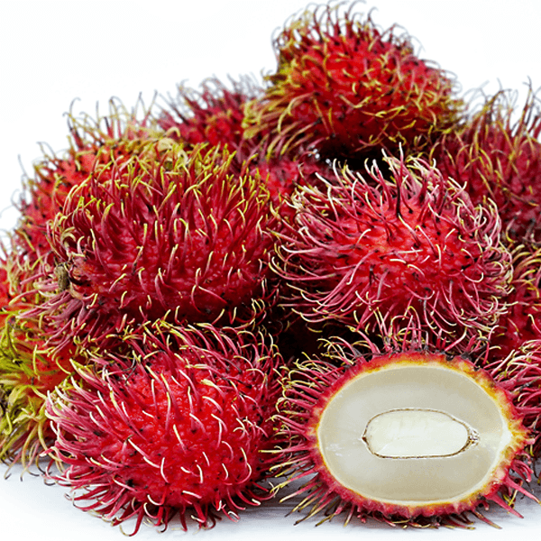 Rambutan Marcot (Grafted) - Ladybird Nursery