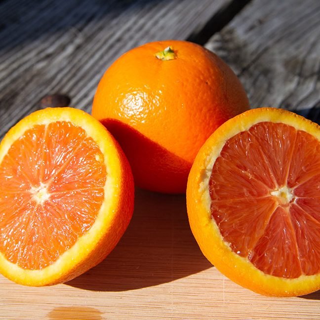Orange 'Cara Cara' 300mm (Pickup Only) - Ladybird Nursery