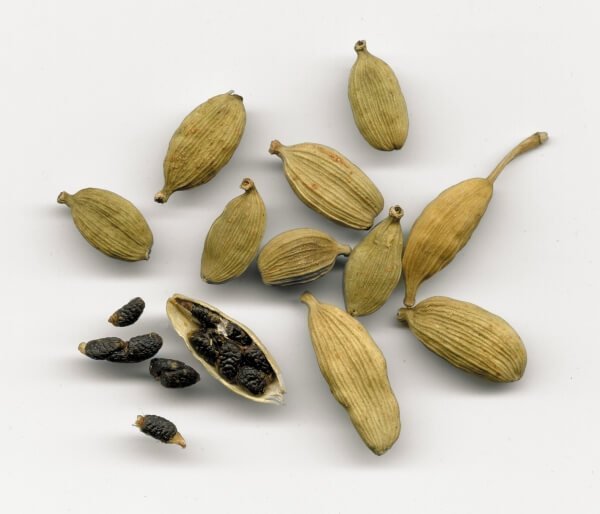 Caradamon Spice (Elettaria cardamomum) - Ladybird Nursery