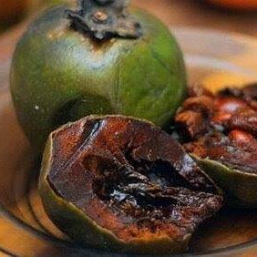 Black Sapote (Chocolate Pudding) - Ladybird Nursery