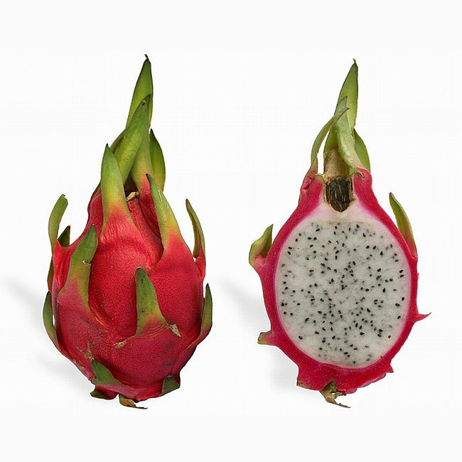 Dragon Fruit Londonii