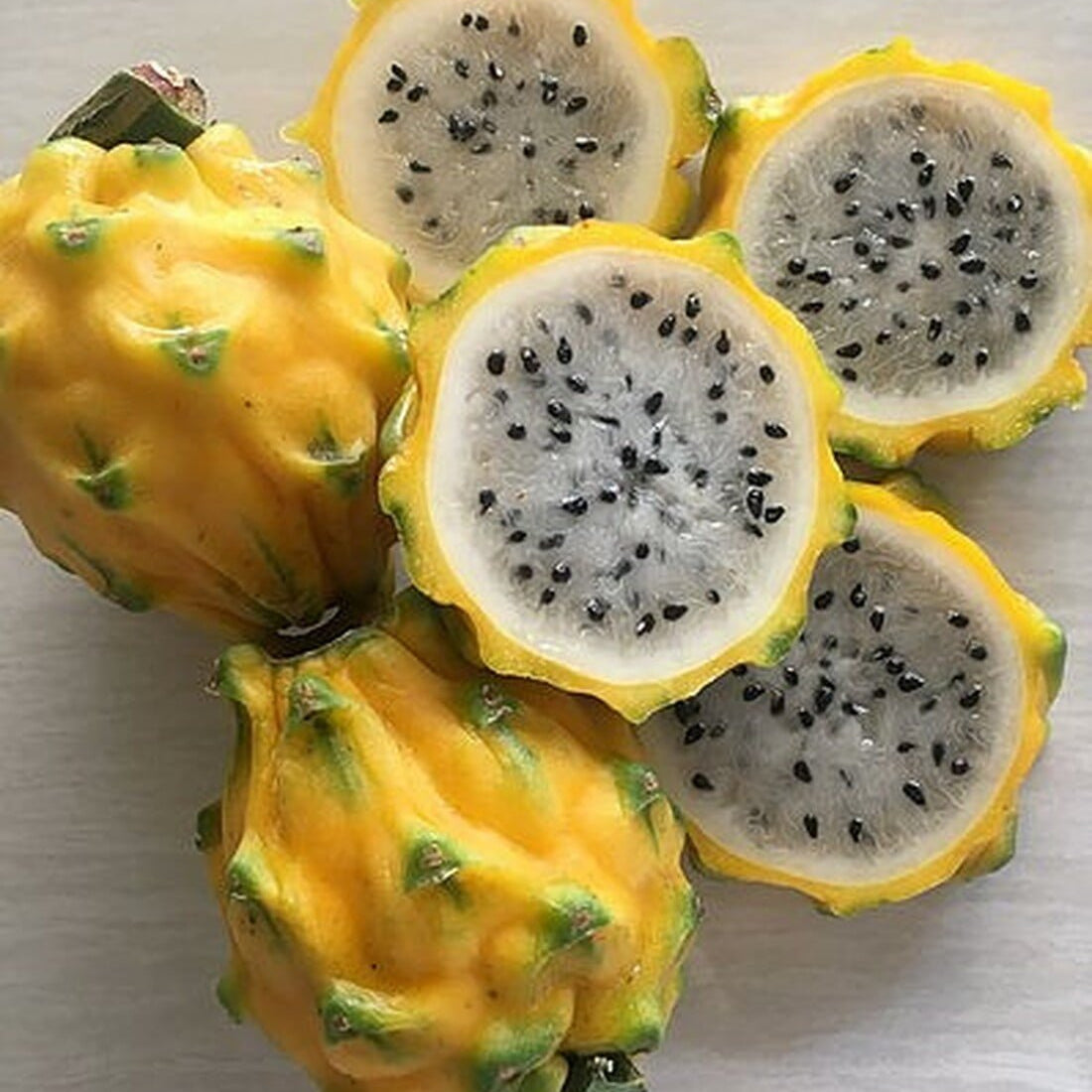 Yellow Dragonfruit - Ladybird Nursery