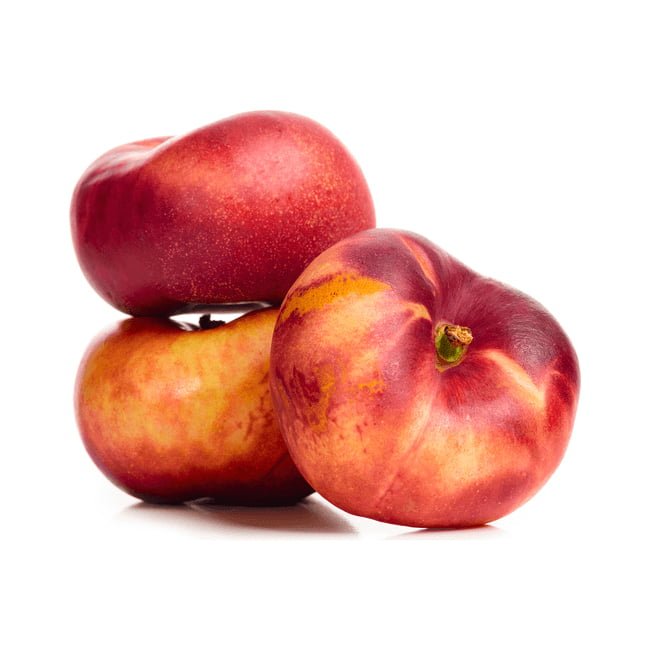 Dwarf Nectarine TangO Flat - Ladybird Nursery