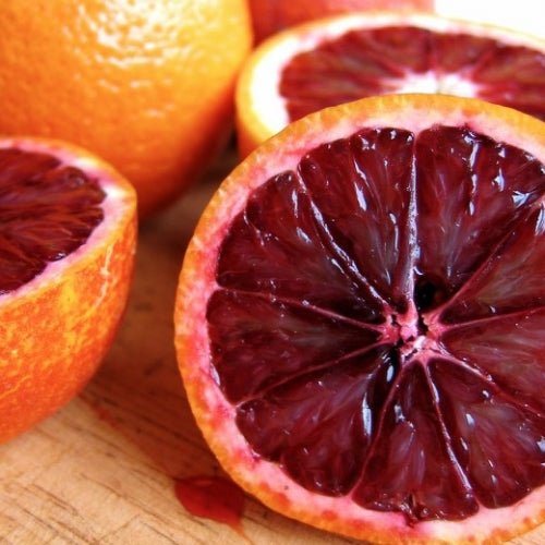 Dwarf Blood Orange Rosso Tarocco (QLD ONLY) - Ladybird Nursery