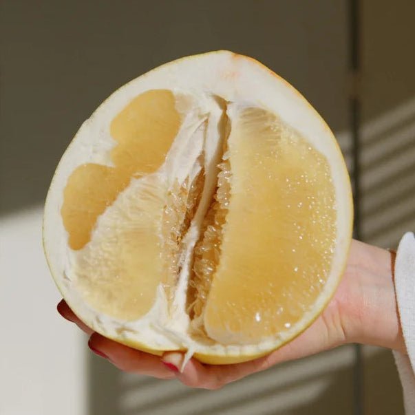 Dwarf Pomelo 'Nam Roi' (QLD Only) - Ladybird Nursery