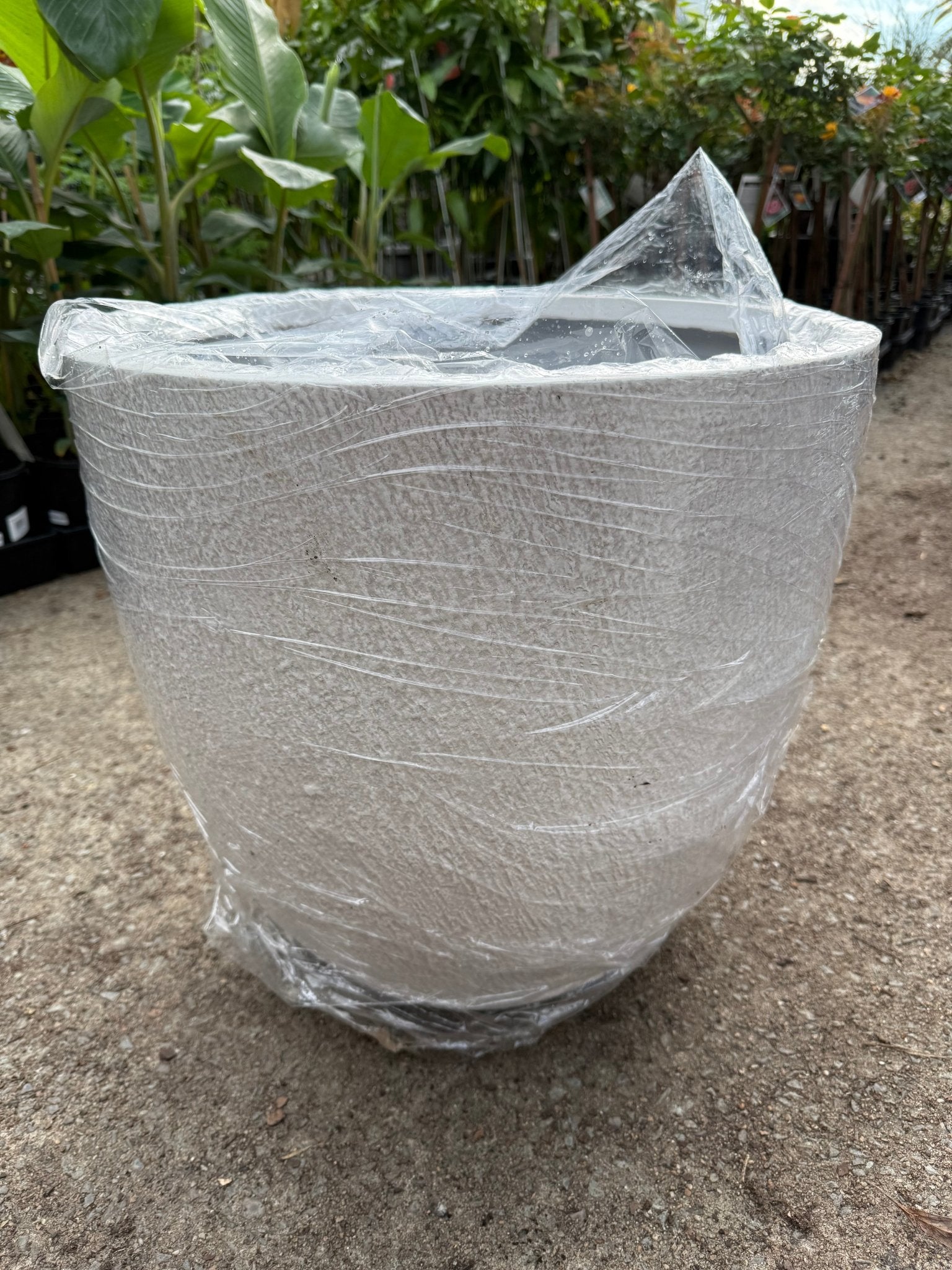 Pot 'Slate Egg White' Size 3 (PICK UP ONLY) - Ladybird Nursery