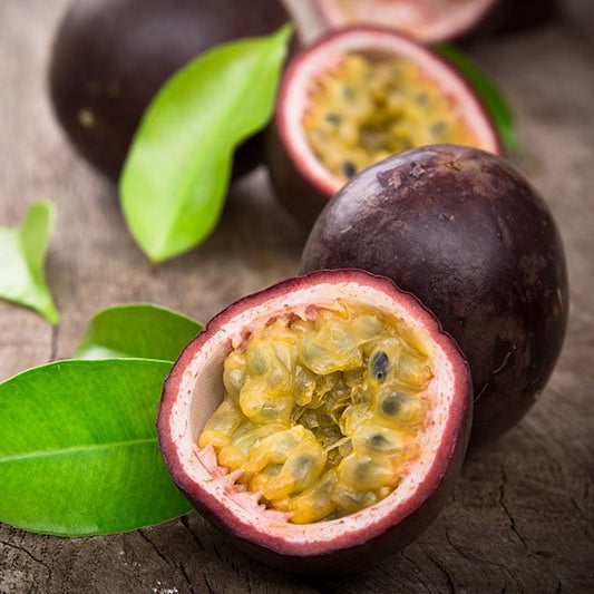 Black Passionfruit - Ladybird Nursery