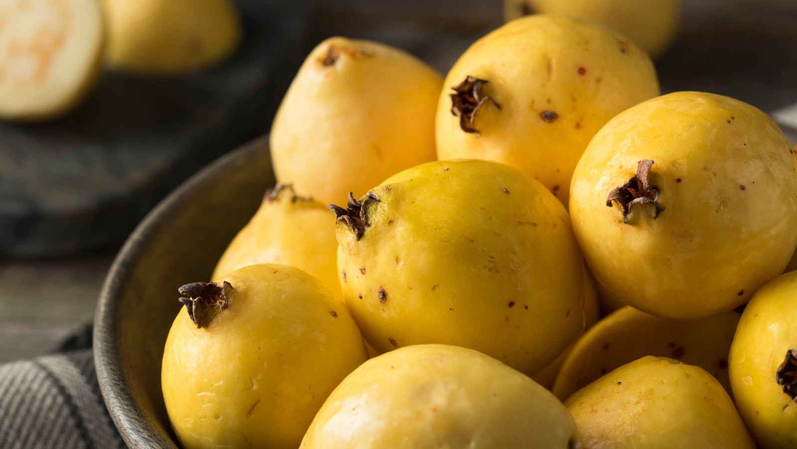 Guava 'Mexican Cream' - Ladybird Nursery