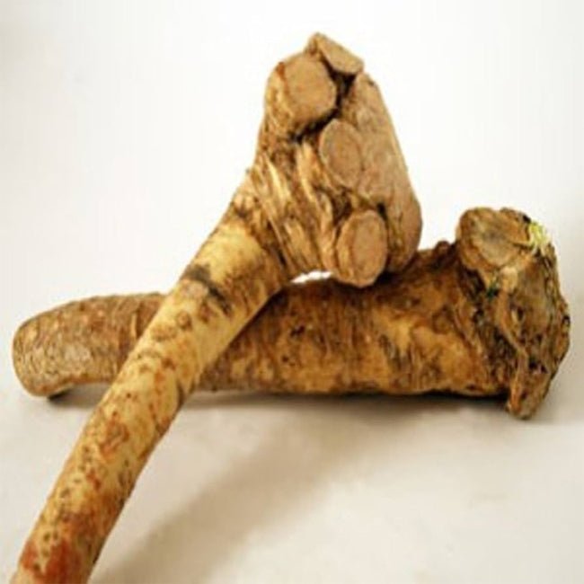 Horseradish - Ladybird Nursery
