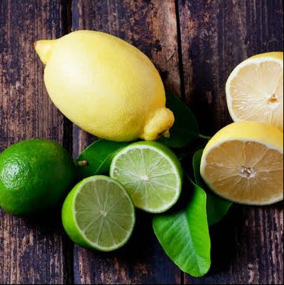 Double Grafted Lemon and Lime (Pick up only) - Ladybird Nursery