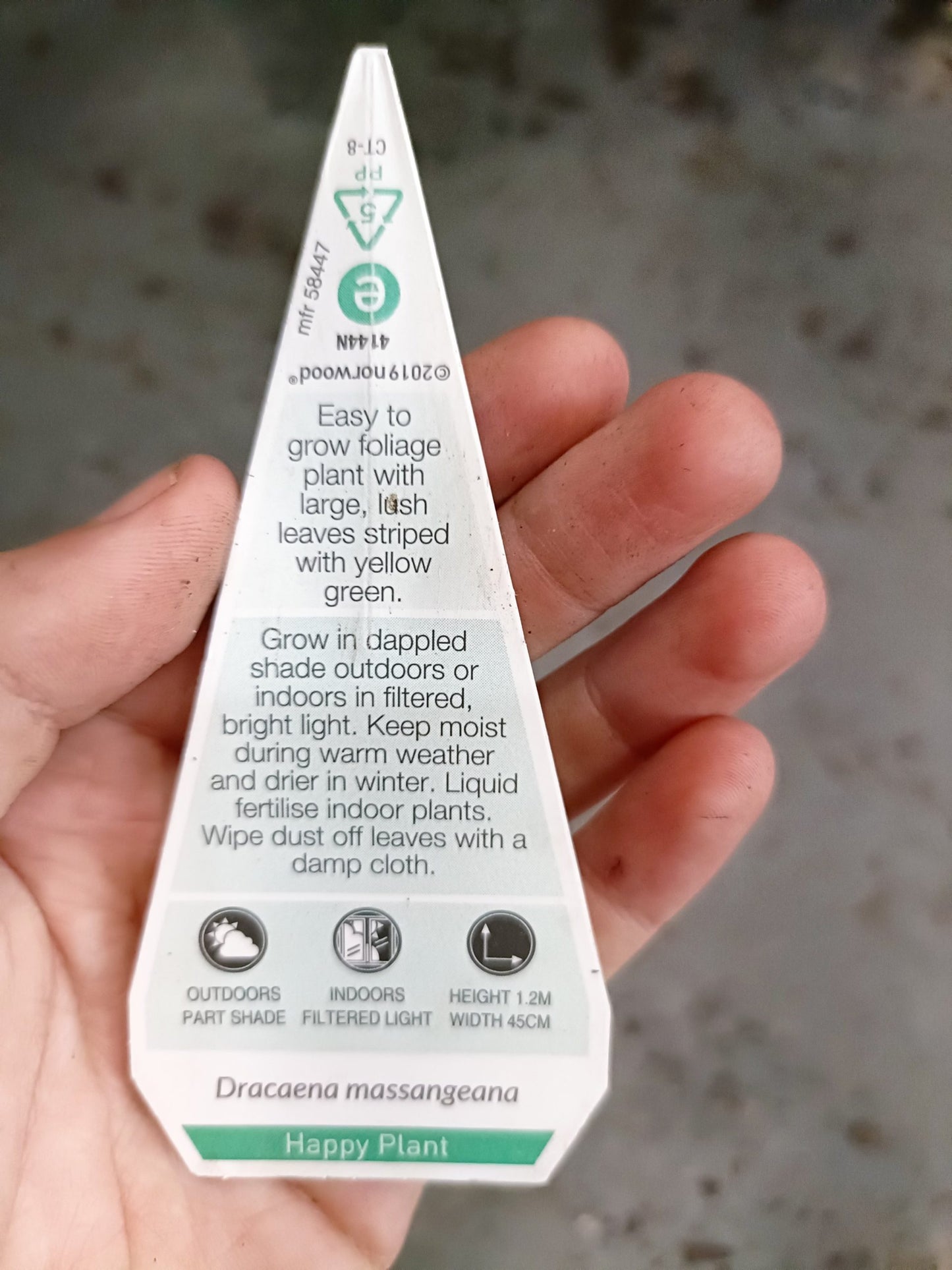 Happy Plant Totem 300mm Pot PICK UP ONLY