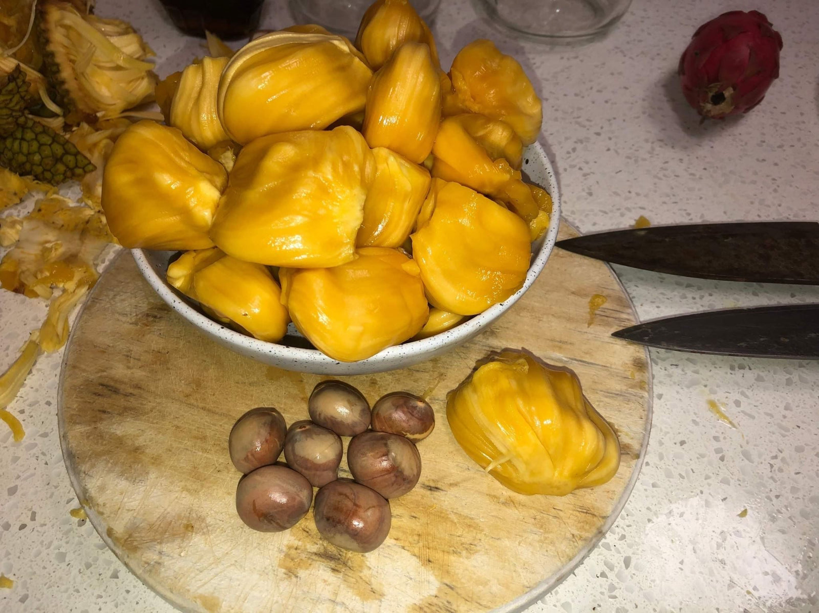 Jakfruit Kyogle Gold - Ladybird Nursery