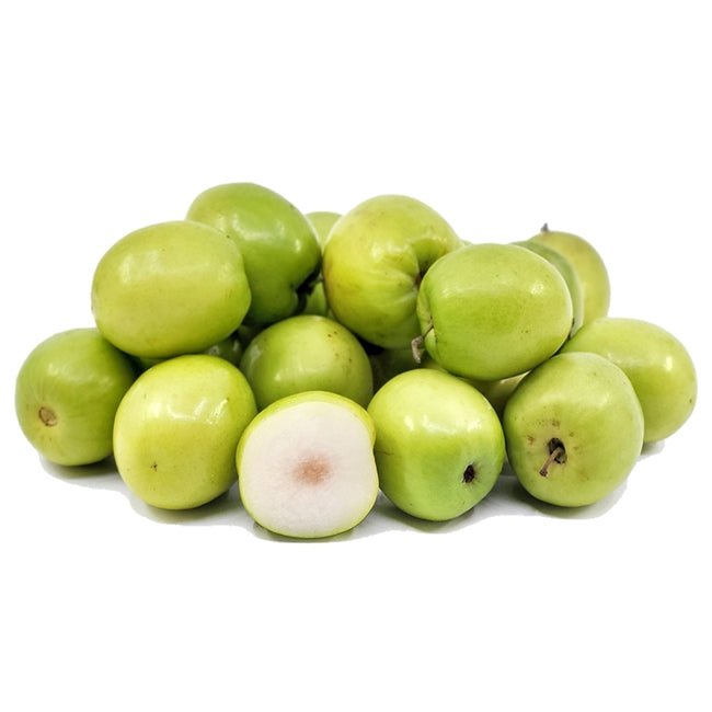 Jujube Thornless - Ladybird Nursery