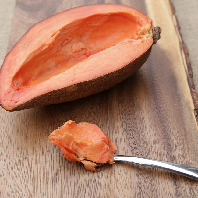 Mamey Sapote Pontin