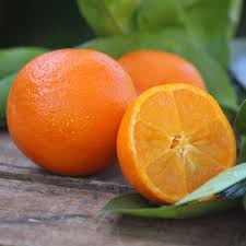 Mandarin Lime (Rangpur Lime) (QLD Only) - Ladybird Nursery