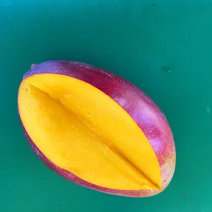Mango 'Zillate'