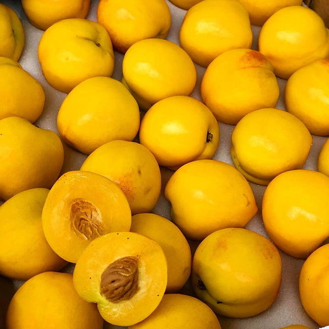 Nectarine TS Nectar-cot