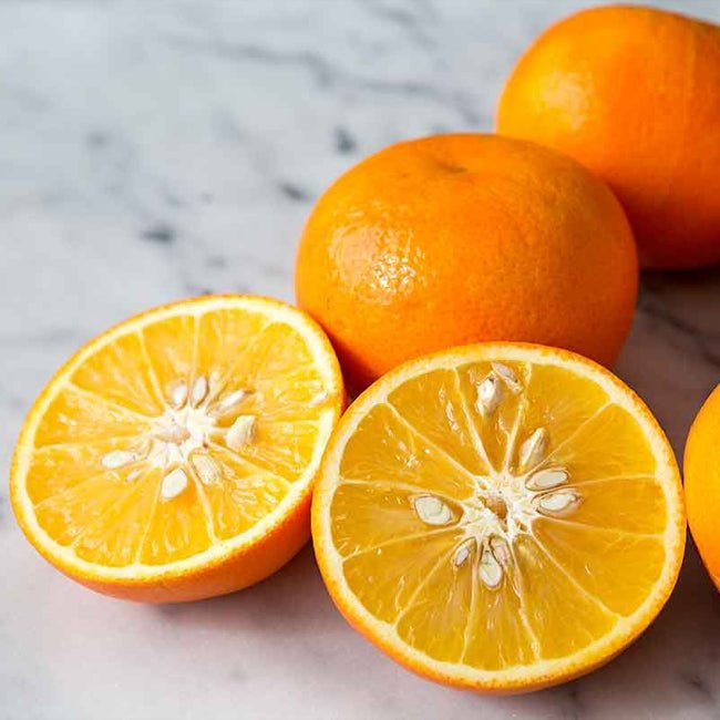 Seville Orange (Appleby) (QLD ONLY) - Ladybird Nursery