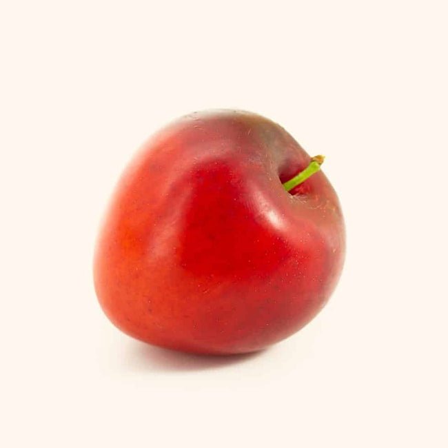 Plum Amber Queen - Ladybird Nursery