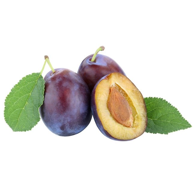 Plum 'Gulf Blaze' - Ladybird Nursery