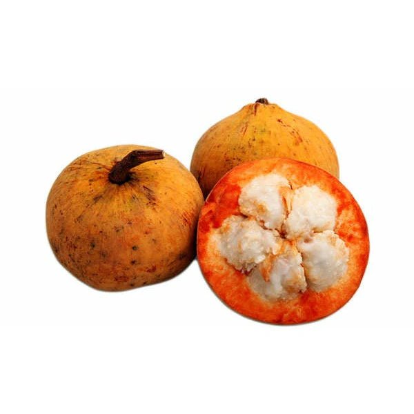 Santol - Ladybird Nursery