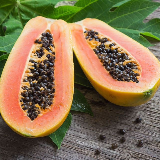 Papaya Bisexual 'Southern Red' (QLD ONLY) - Ladybird Nursery