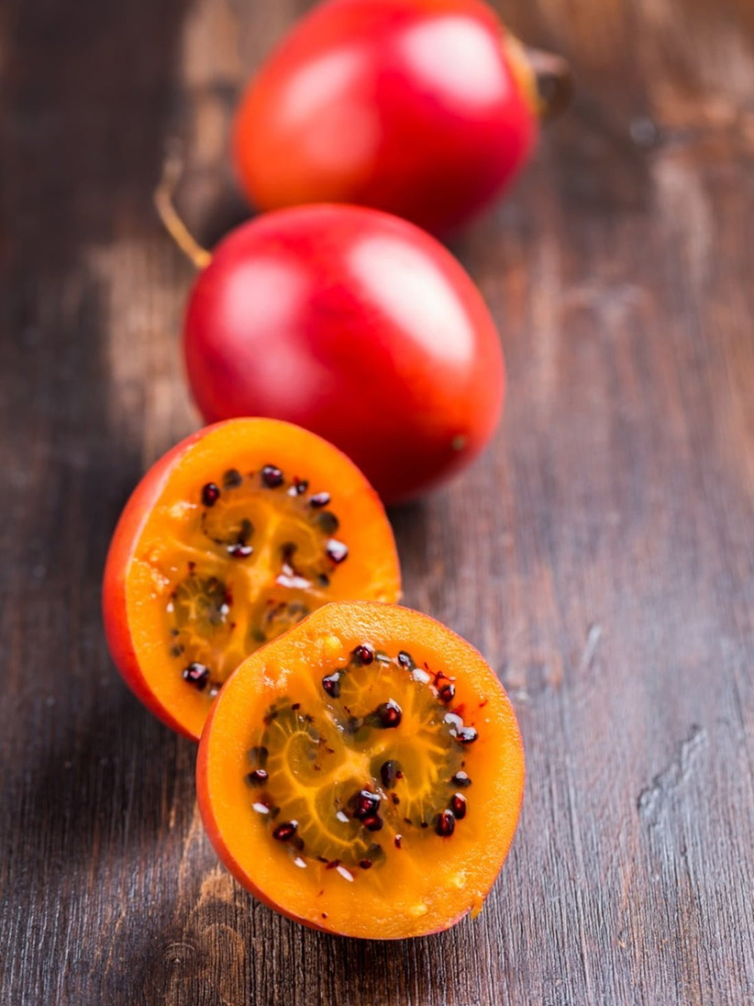 Tamarillo Red Grafted - Ladybird Nursery