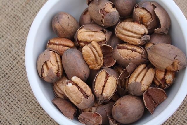 Pecan Wichita (B) - Ladybird Nursery