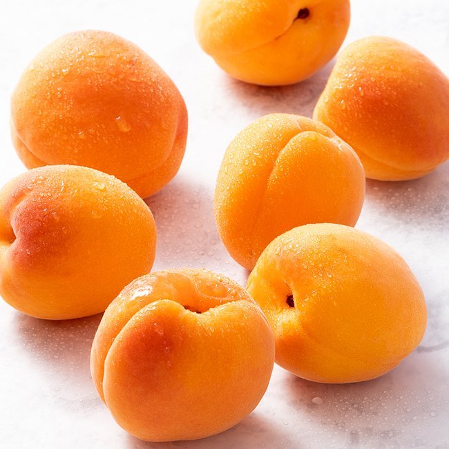 Dwarf Apricot 'Divinity' - Ladybird Nursery