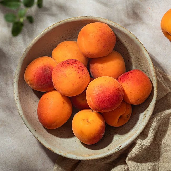 Dwarf Apricot 'Fireball' - Ladybird Nursery