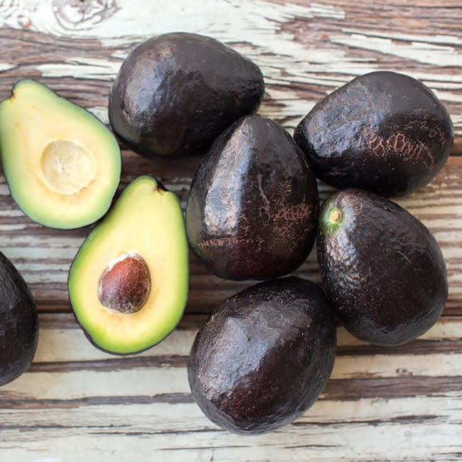 Avocado Sir Prize (B Type) (PICK UP ONLY)