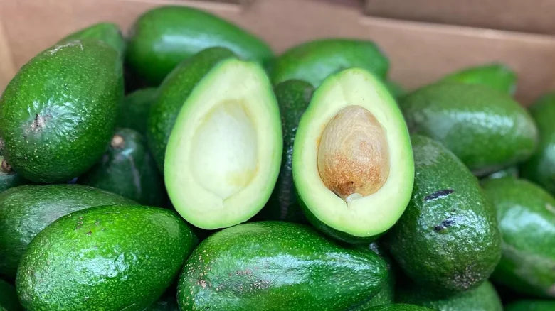 Avocado Bacon (B Type)