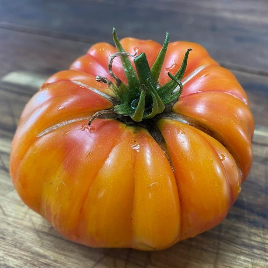 Tomato 'Big Berryl' - Ladybird Nursery