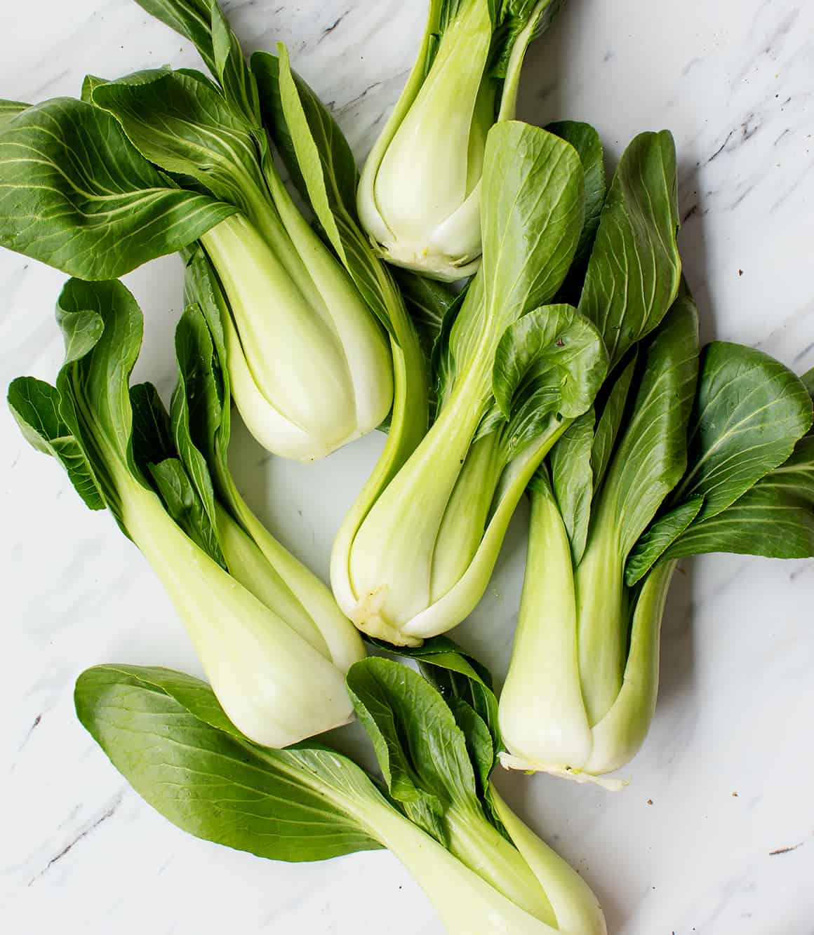 Bok Choy (Pickup Only) - Ladybird Nursery