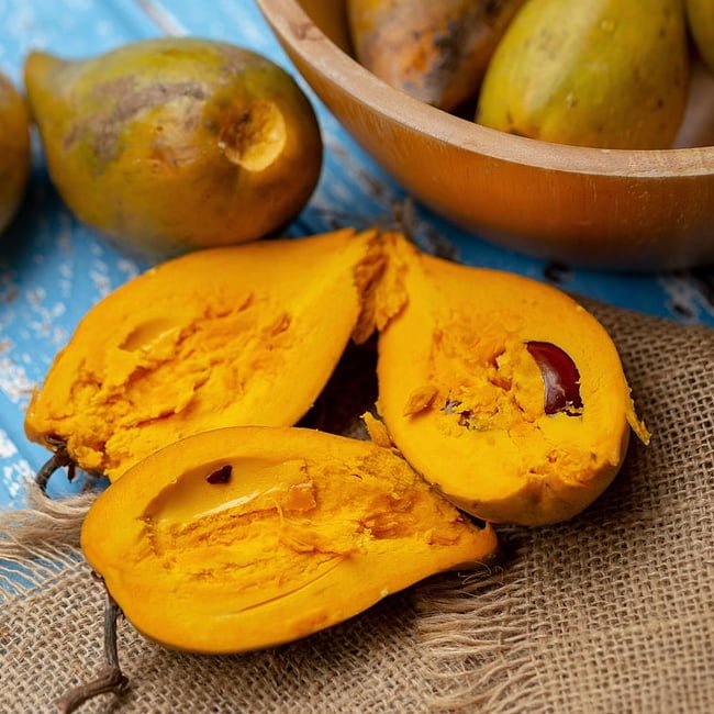 Canistel Grey - Ladybird Nursery