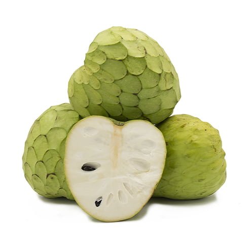 Cherimoya Bays - Ladybird Nursery