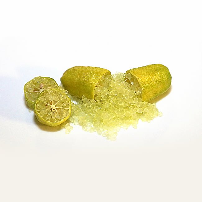 Finger lime Yellow Cutting (QLD only) - Ladybird Nursery