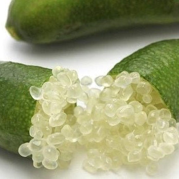 Green Sapphire Finger Lime (QLD Only) - Ladybird Nursery
