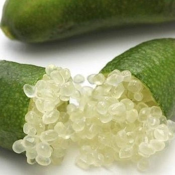 Green Sapphire Finger Lime (QLD Only) - Medium - Ladybird Nursery