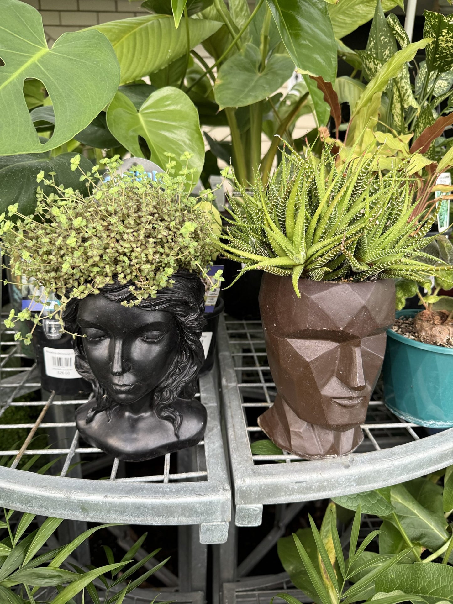 Head Planter Pot Plant