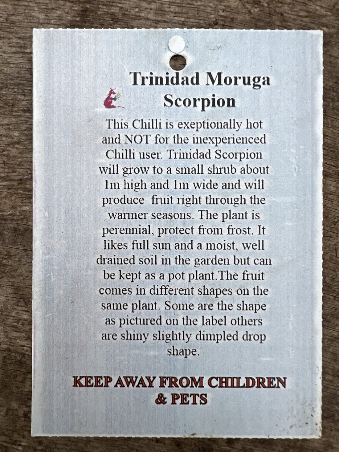 Trinidad Moruga Scorpion Chilli - Ladybird Nursery